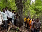 जीवती तालुक्यात शाश्वत बांबू व्यवस्थापन, बांबू संवर्धन व लागवडीवर प्रात्यक्षिक प्रशिक्षण महापदरवणी ग्रामसभेत समुदायाच्या सहभागातून बांबू पुनर्स्थापना उपक्रम