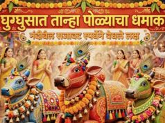 • घुग्घुसात मातीशी नाळ जोडणारा तान्हा पोळा ; मोबाईल विसरून चिमुकले झाले सर्जा-राजाचे सारथी • २१७ वर्षांची विदर्भाची परंपरा जपली; सर्वधर्मीय समभाव समाजाच्या नंदीबैल सजावट स्पर्धेने जिंकली मने