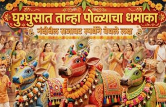 • घुग्घुसात मातीशी नाळ जोडणारा तान्हा पोळा ; मोबाईल विसरून चिमुकले झाले सर्जा-राजाचे सारथी • २१७ वर्षांची विदर्भाची परंपरा जपली; सर्वधर्मीय समभाव समाजाच्या नंदीबैल सजावट स्पर्धेने जिंकली मने