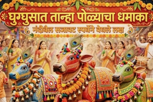 • घुग्घुसात मातीशी नाळ जोडणारा तान्हा पोळा ; मोबाईल विसरून चिमुकले झाले सर्जा-राजाचे सारथी • २१७ वर्षांची विदर्भाची परंपरा जपली; सर्वधर्मीय समभाव समाजाच्या नंदीबैल सजावट स्पर्धेने जिंकली मने
